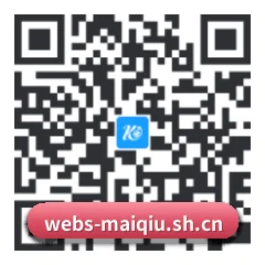 iOS 系统版 二维码